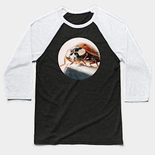 Ladybug Macro Circle Photograph Baseball T-Shirt